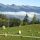 Buerserberg Vorarlberg