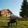 Buerserberg Vorarlberg