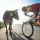 biking in ZELL AM ZILLER - ZILLERTAL ARENA - TYROL - Zell am Ziller, Zillertal Arena Tirol