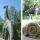 (c) Saurierpark Traismauer