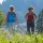 Wandern im Klostertal - Dalaas/Wald Vorarlberg