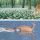 First Photo: © Nationalpark Donauauen