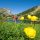Kramsach Tirol