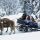 Erste Ferienregion im Zillertal Bild - Erste Ferienregion Zillertal Tirol