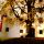 Schloss Anras im Herbst