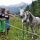Pferde im Winkeltal - Außervillgraten Tirol