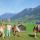 reiten_im_moos - Biberwier Tirolo