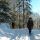 Winterwanderung in St.Nikola~Donau