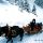 Leitnbauer mit Norikern im Winter
