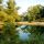 22. Bezirk - Nationalpark Donau Auen © www.donauauen.at