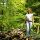 Wald