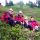 Rettenegg Image for photo gallery - Rettenegg Styria
