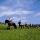 Reiten