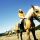 Horseback Riding