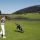 18-Loch Golfanlage in Riefensberg-Sulzberg: Golfpark Bregenzerwald