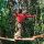 Adventurpark Fulpmes - Fulpmes im Stubaital Tirol