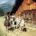 Westerreiten in GERLOS - ZILLERTAL ARENA - TIROL - Gerlos Tirol