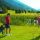 Region Nockberge/Bad Kleinkirchheim  - Nockberge/Bad Kleinkirchheim Karinthie