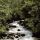 Kristallklares Bergwasser