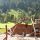 Spielplatz