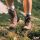 Wandern mit ASI
