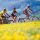 Tourismusverband Semmering-Rax-Schneeberg, Radfahren und Mountainbiken