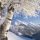 Archiv: TVB Mayrhofen-Hippach Foto: Paul Sürth - Хиппах Tyrolsko