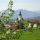 Лангкампфен Tyrolsko