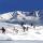 Skilauf im GG-Resort - Matrei - Huben Tirol