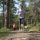 Joggen in der Region