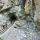 Rosengartenschlucht - Imst Tirol