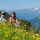 St. Leonhard im Pitztal Bild für Fotogalerie - St. Leonhard im Pitztal Tirol