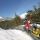 Alpine Coaster - Imst Tourismus Tirol