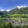 Mittersill-Hollersbach-Stuhlfelden Salzburg