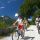 Naturparkregion Reutte Bild für Fotogalerie