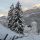 Matrei in Osttirol Tirol