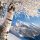Archiv: TVB Mayrhofen, Foto: Paul Sürth - Mayrhofen Tirol