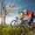 Archiv: TVB Mayrhofen Foto: Kiaulehn Ronny - Mayrhofen Tirol