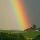 Regenbogen