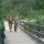Wandern 