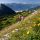 Achensee Region Tirol
