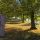 "Der Narr" im Wald - Marz Burgenland