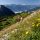 Wandern im Rofangebirge - Achensee - Rofanseilbahn Maurach am Achensee
