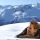 Ischgl - Silvretta Ski Arena Bild für Fotogalerie