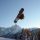 Dachstein-West - Gosau, Russbach, Annaberg Bild für Fotogalerie