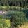 Gleinkersee Bild