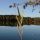 Höllerersee Bild