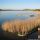 Wallersee Bild für Fotogalerie