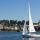 Segelboot auf dem Traunsee - Traunsee Traunkirchen