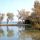Neufeldersee Bild